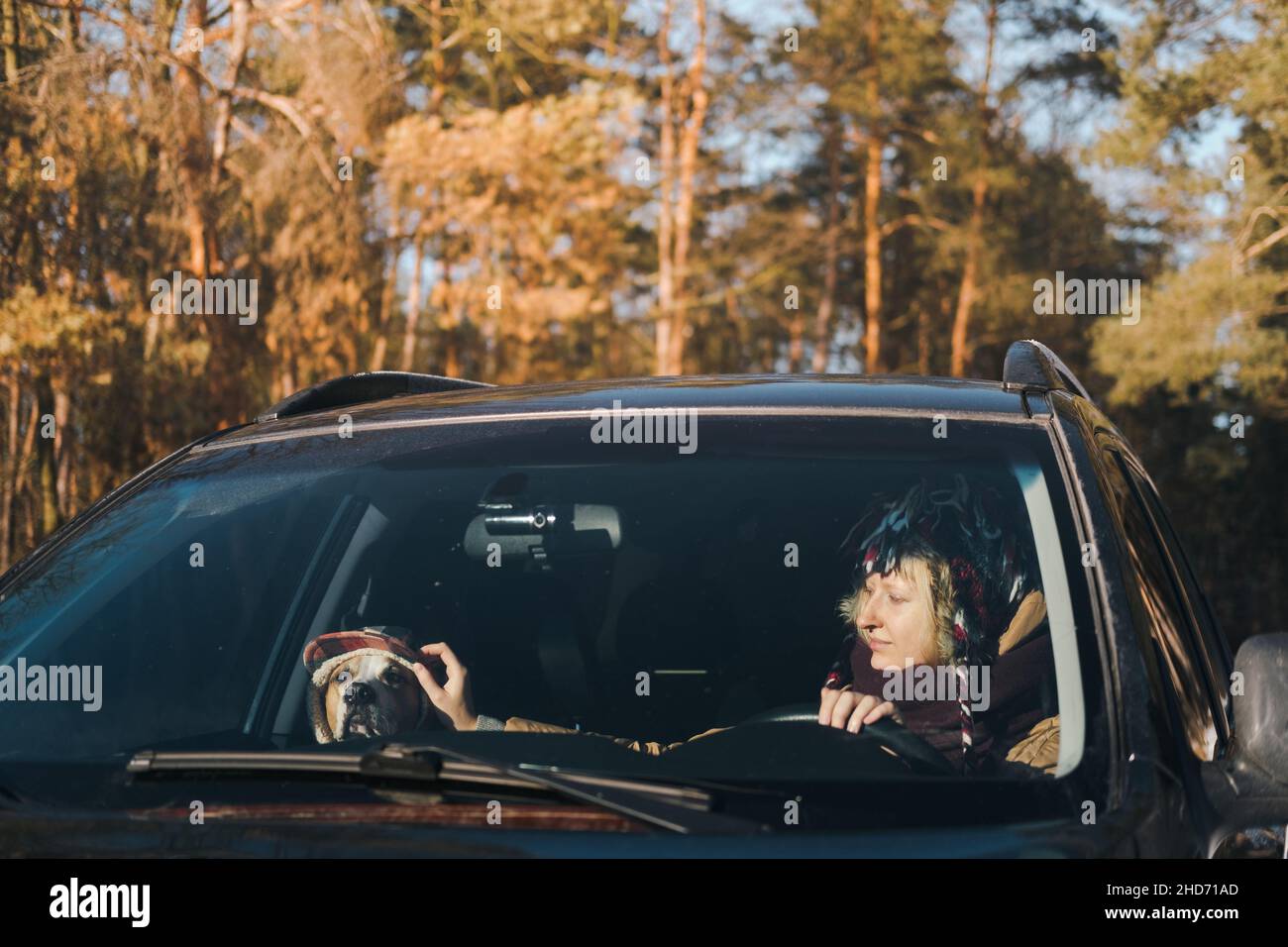 Giovane donna e un divertente straffordshire terrier seduto in un'auto, persona raddrizzante cane inverno cappello. Stile di vita invernale attivo con cani, guida con Foto Stock
