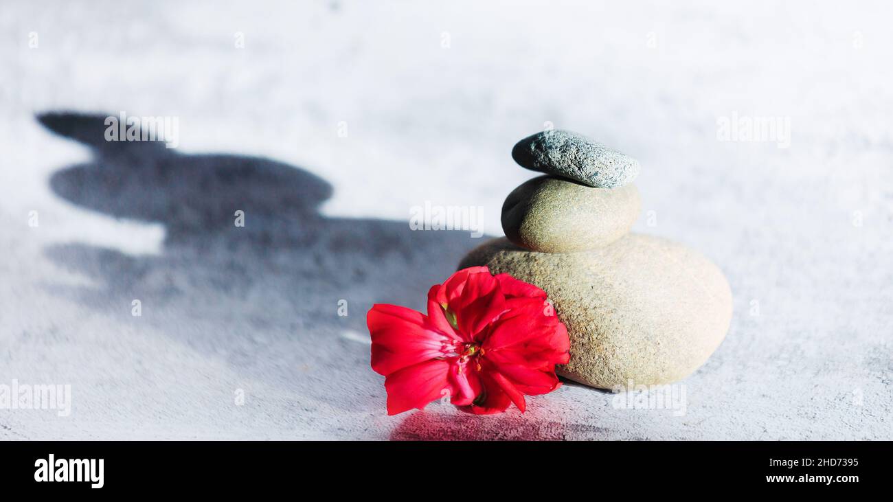 Tema di Zen spa e meditazione. Pietre su sfondo grigio e fiore rosso. Sfondo neutro. Calma e riflessione. Foto Stock