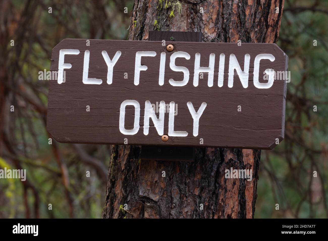 Flyfishing Sign, Metolius Wild e Scenic River, Deschutes National Forest, Oregon. Foto Stock