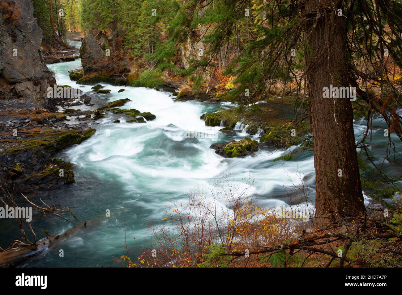 Benham Falls, Deschutes Wild e Scenic River, Deschutes National Forest, Oregon. Foto Stock