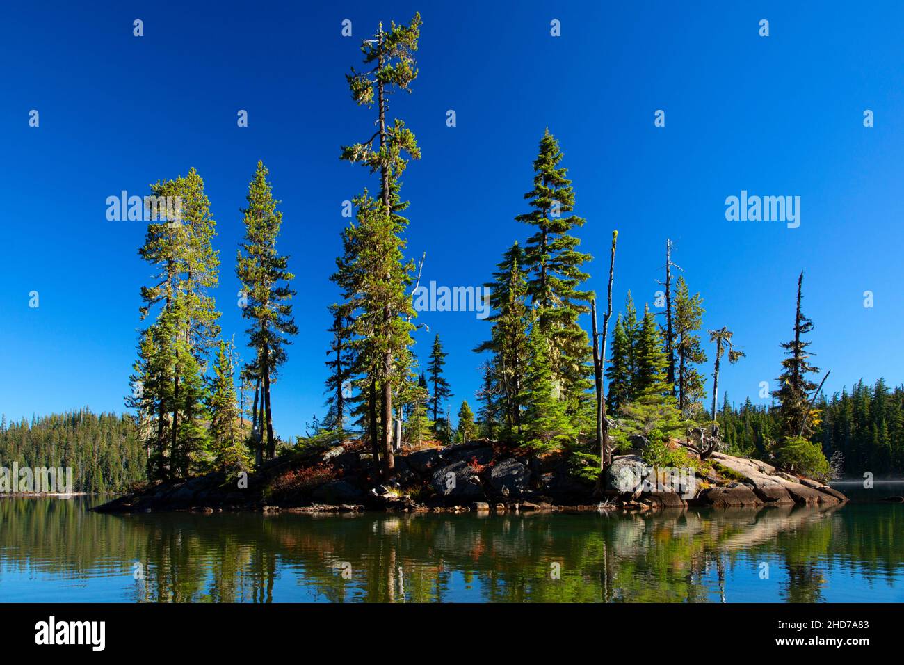 Charlton Lake, Deschutes National Forest, Oregon. Foto Stock