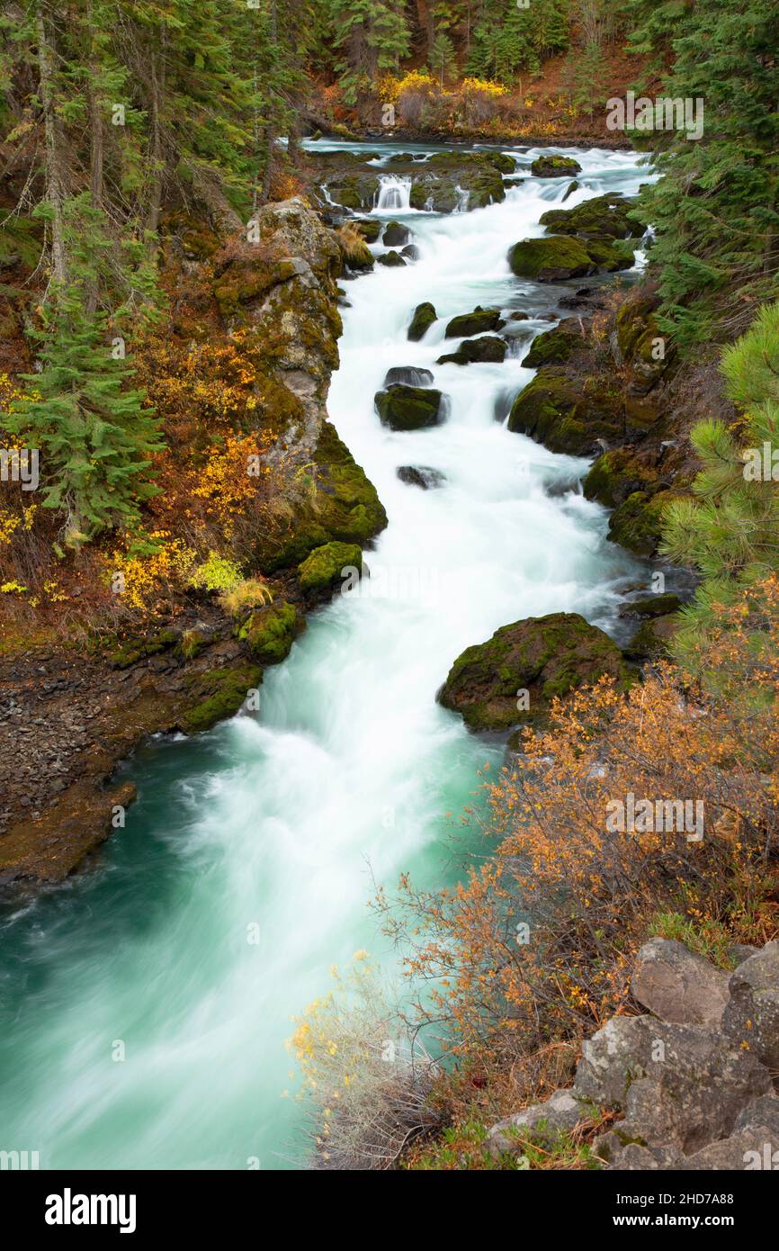 Benham Falls, Deschutes Wild e Scenic River, Deschutes National Forest, Oregon. Foto Stock