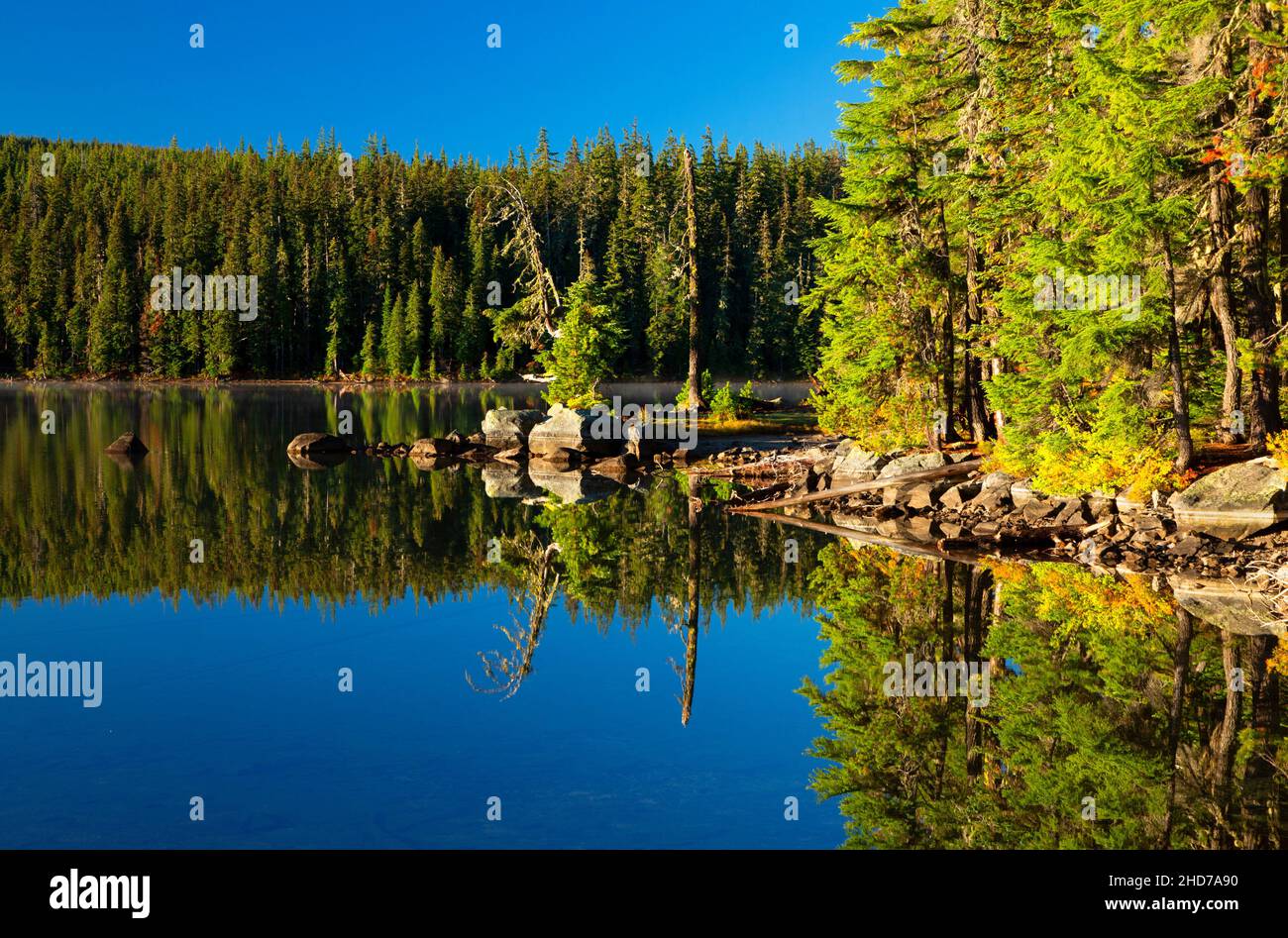 Charlton Lake, Deschutes National Forest, Oregon. Foto Stock