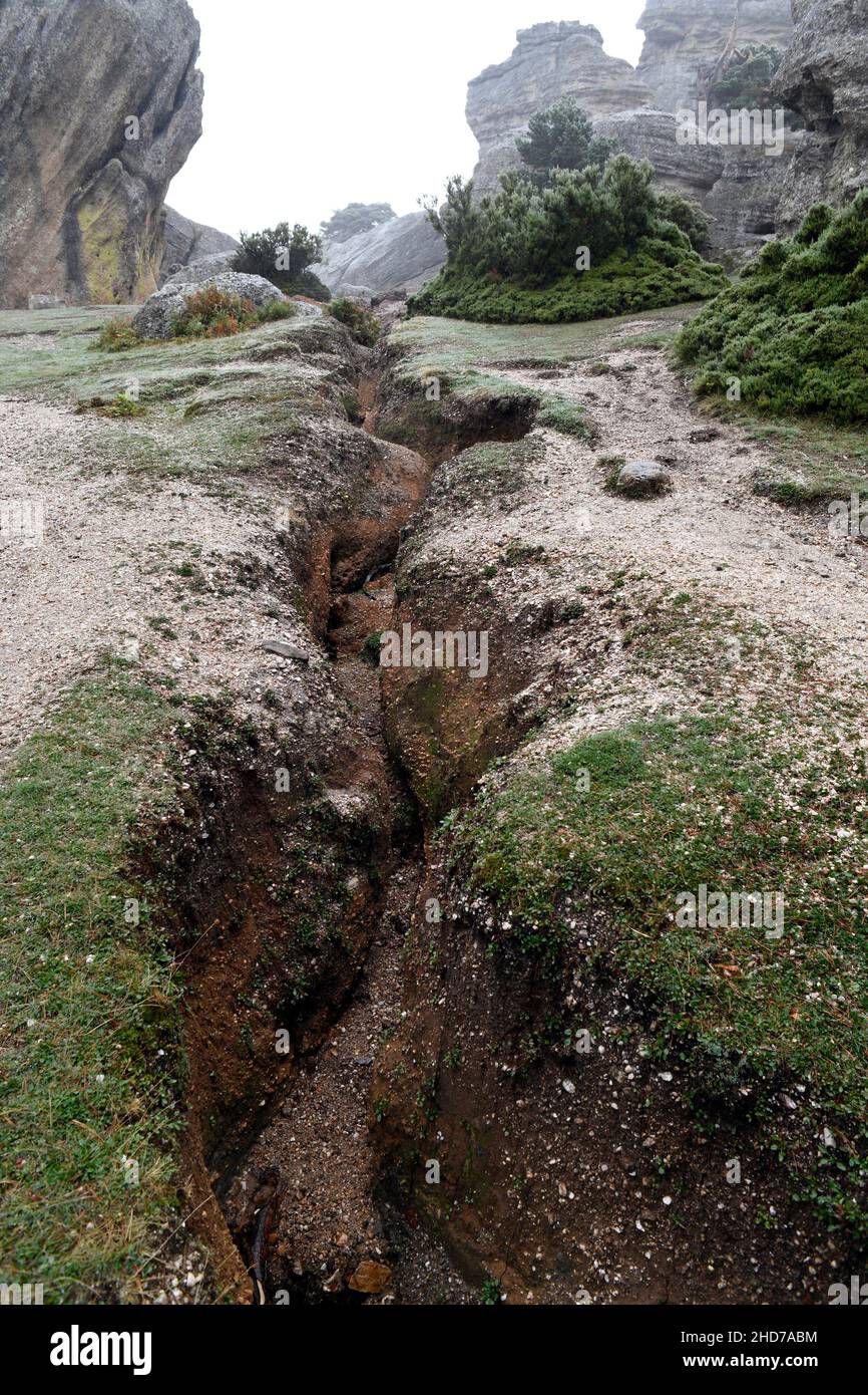 Erosione di suolo (burrone) da pioggia. Castroviejo, Duruelo de la Sierra, Soria, Castilla y Leon, Spagna. Foto Stock