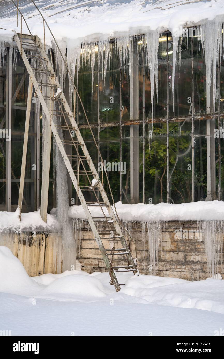 Foto all'aperto della serra nel giardino botanico invernale innevato, ghiandole appese al tetto della serra Foto Stock