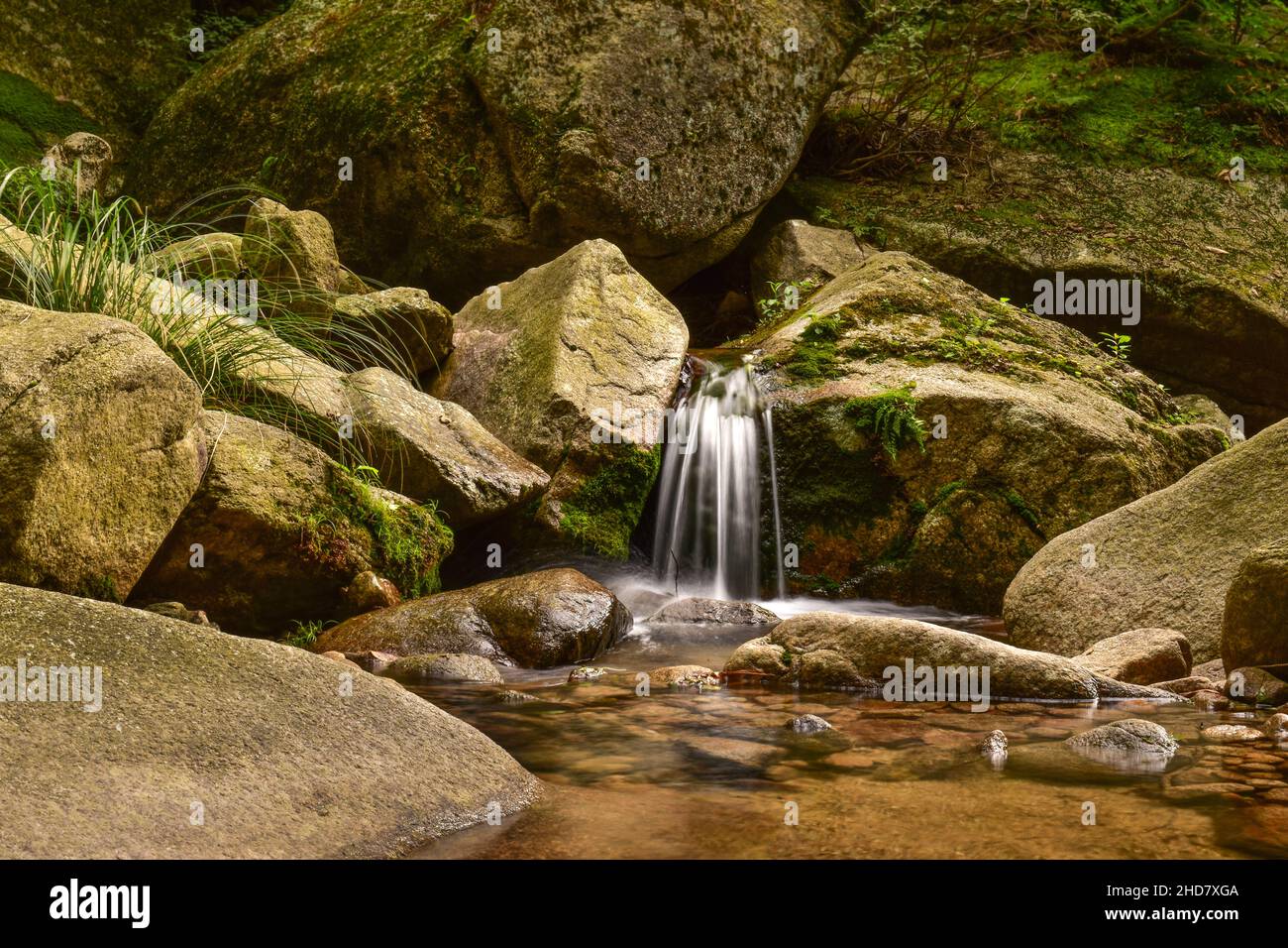 Una cascata tranquilla in un ruscello Foto Stock