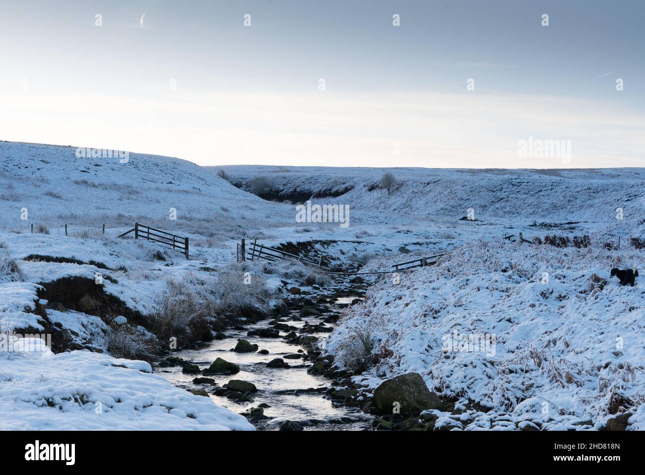 Brughiera del Northumberland in inverno Foto Stock