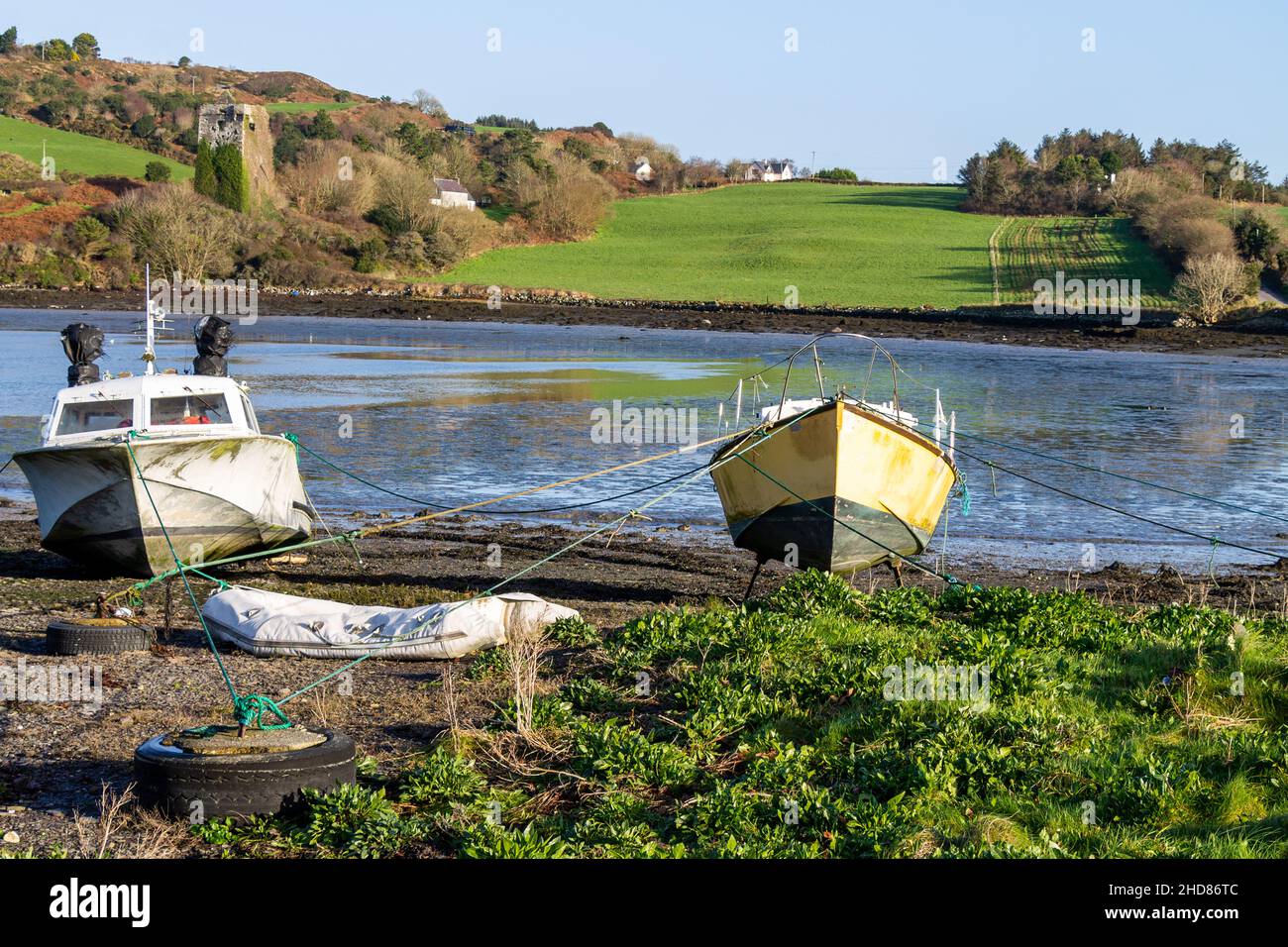 Estuario marea bassa marea con castello in rovina o torre fortificata. Cork occidentale Irlanda Foto Stock