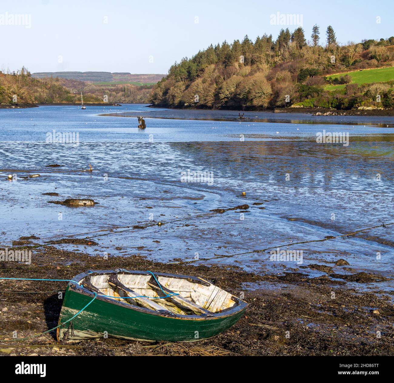 Fango a bassa marea estuario marea ovest Cork Irlanda Foto Stock