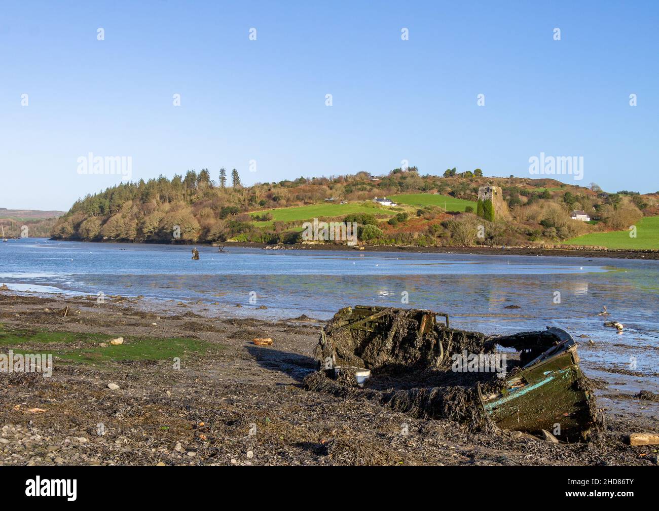 Estuario marea bassa marea con castello in rovina o torre fortificata. Cork occidentale Irlanda Foto Stock