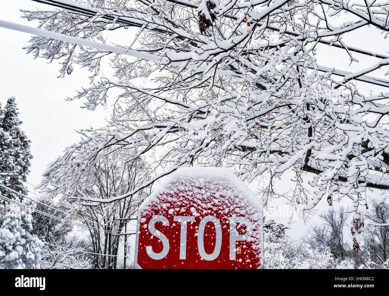 strada del quartiere coperta di neve Foto Stock