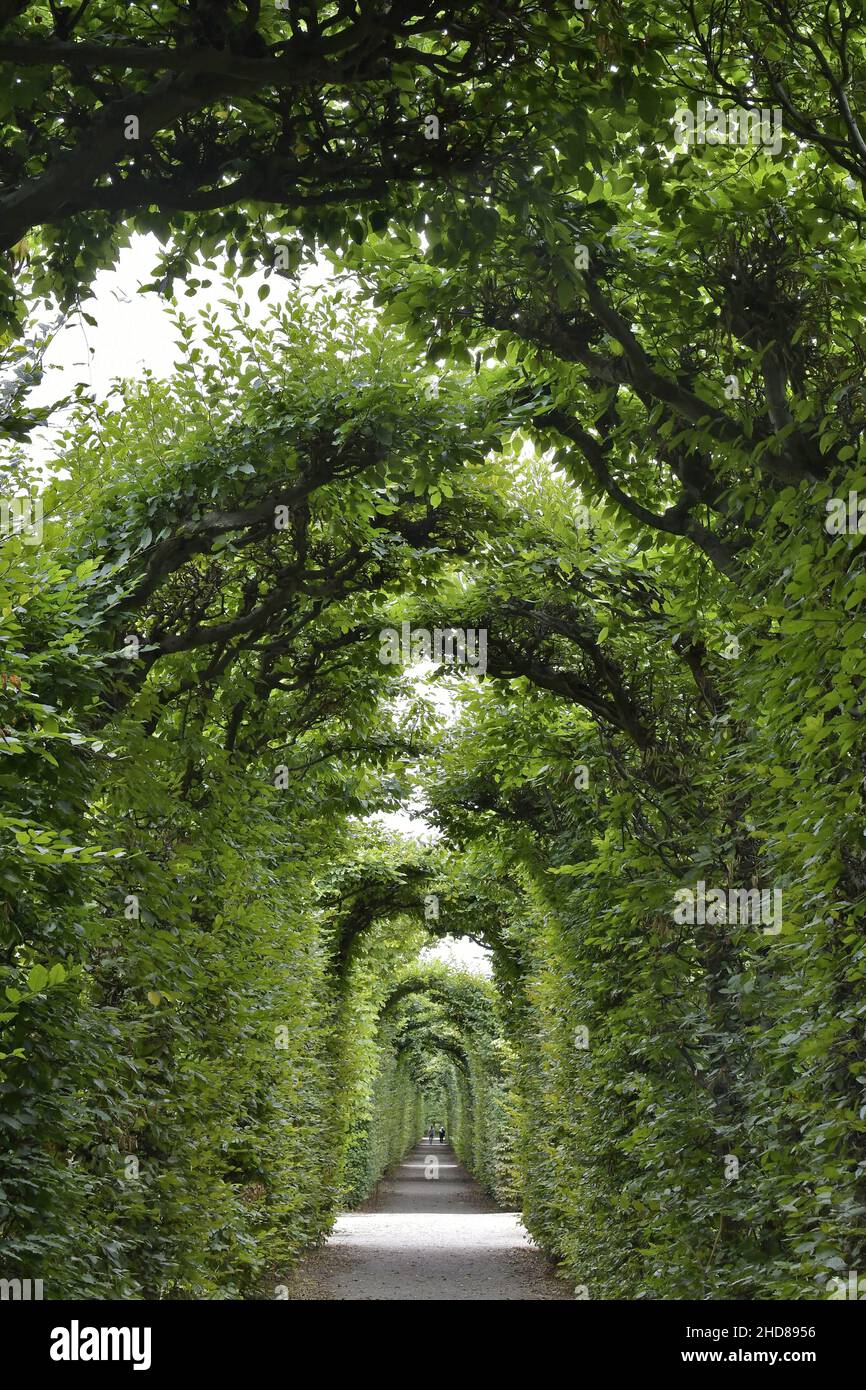 Passaggio ad arco attraverso il parco di Schönbrunn, Vienna Austria. Foto Stock