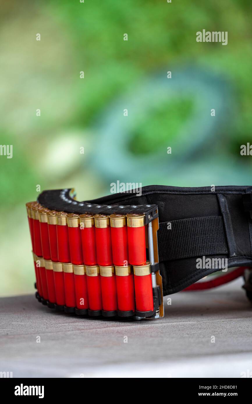 Cintura sportiva a cartuccia. Cartucce rosse per fucile in custodia. Sfondo sfocato verde. Foto Stock
