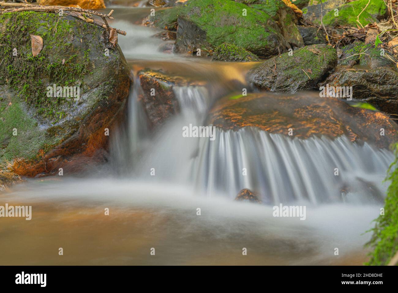 Piccola cascata naturale di fiume nel mezzo della foresta con effetto di seta, Foto Stock