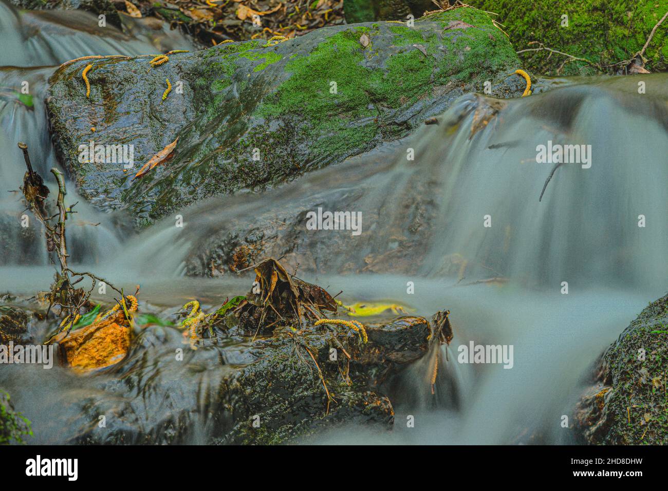 Piccola cascata naturale di fiume nel mezzo della foresta con effetto di seta, Foto Stock