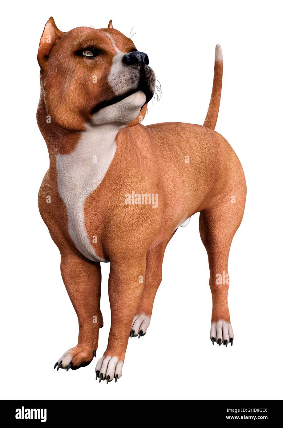 schleich pitbull