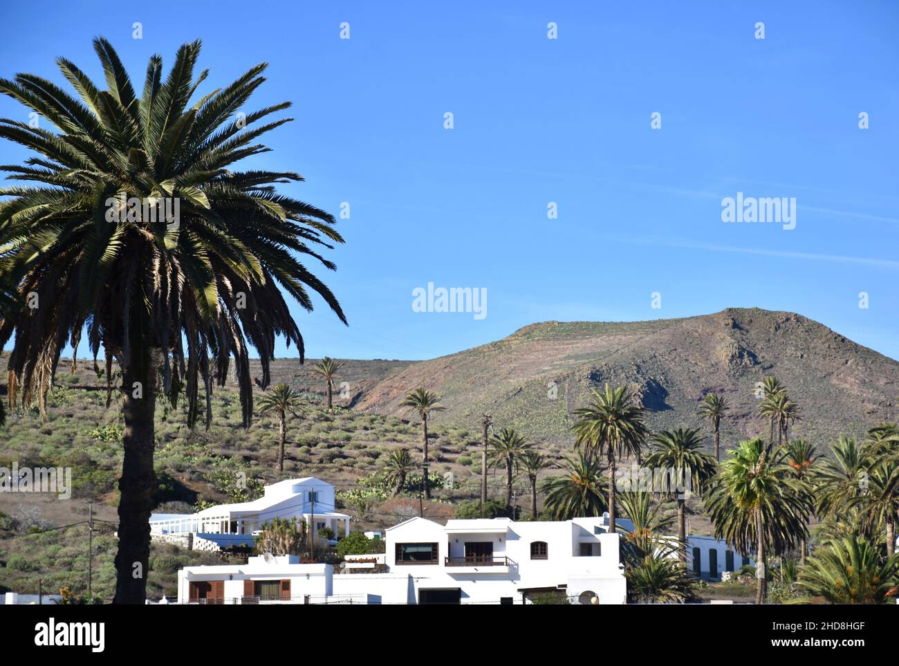 Valle panoramica con case bianche e palme vicino a Haria, Lanzarote, isole Canarie, Spagna Foto Stock
