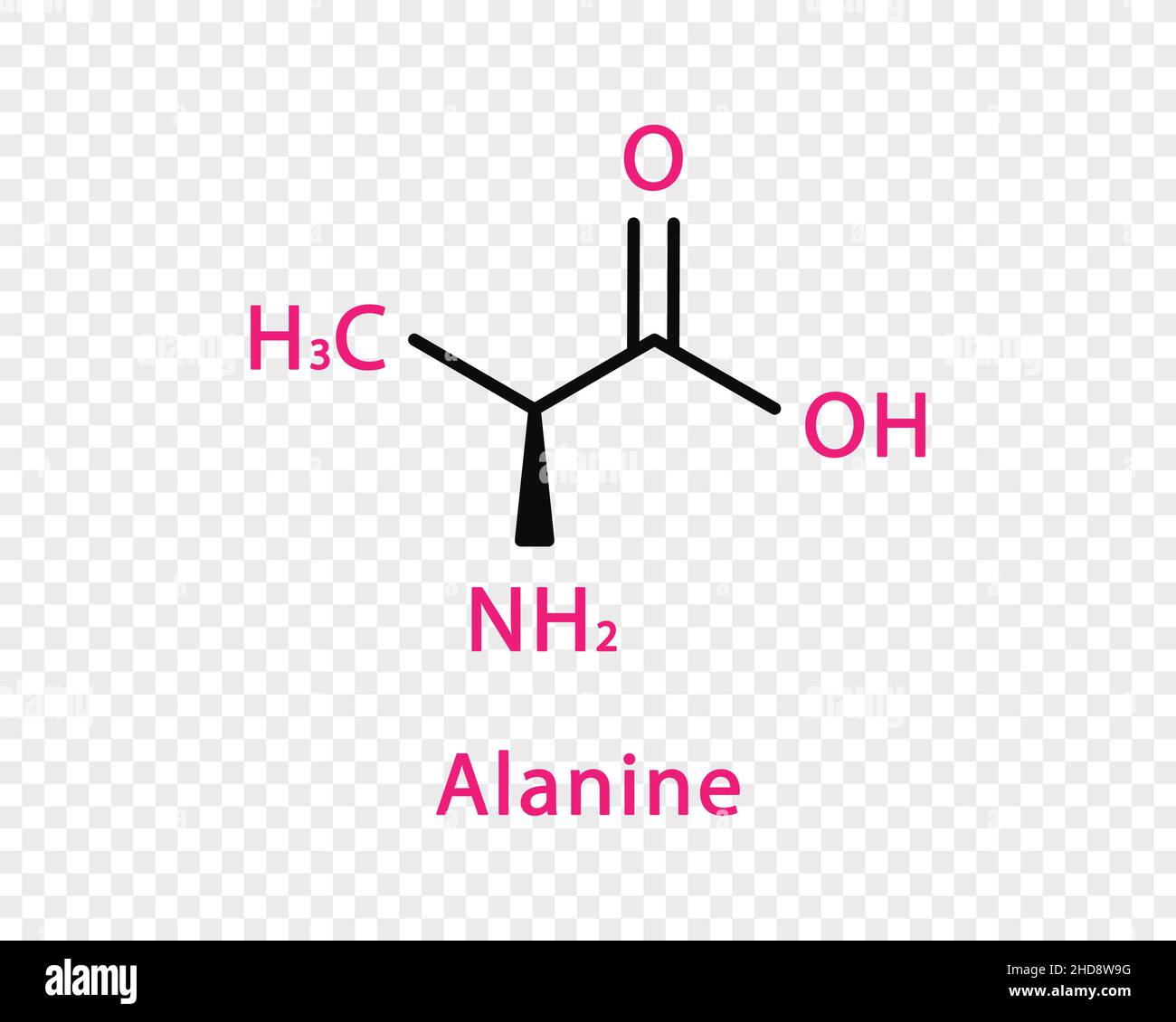 Formula chimica dell'alanina. Formula chimica strutturale dell'alanina isolata su sfondo trasparente. Illustrazione Vettoriale
