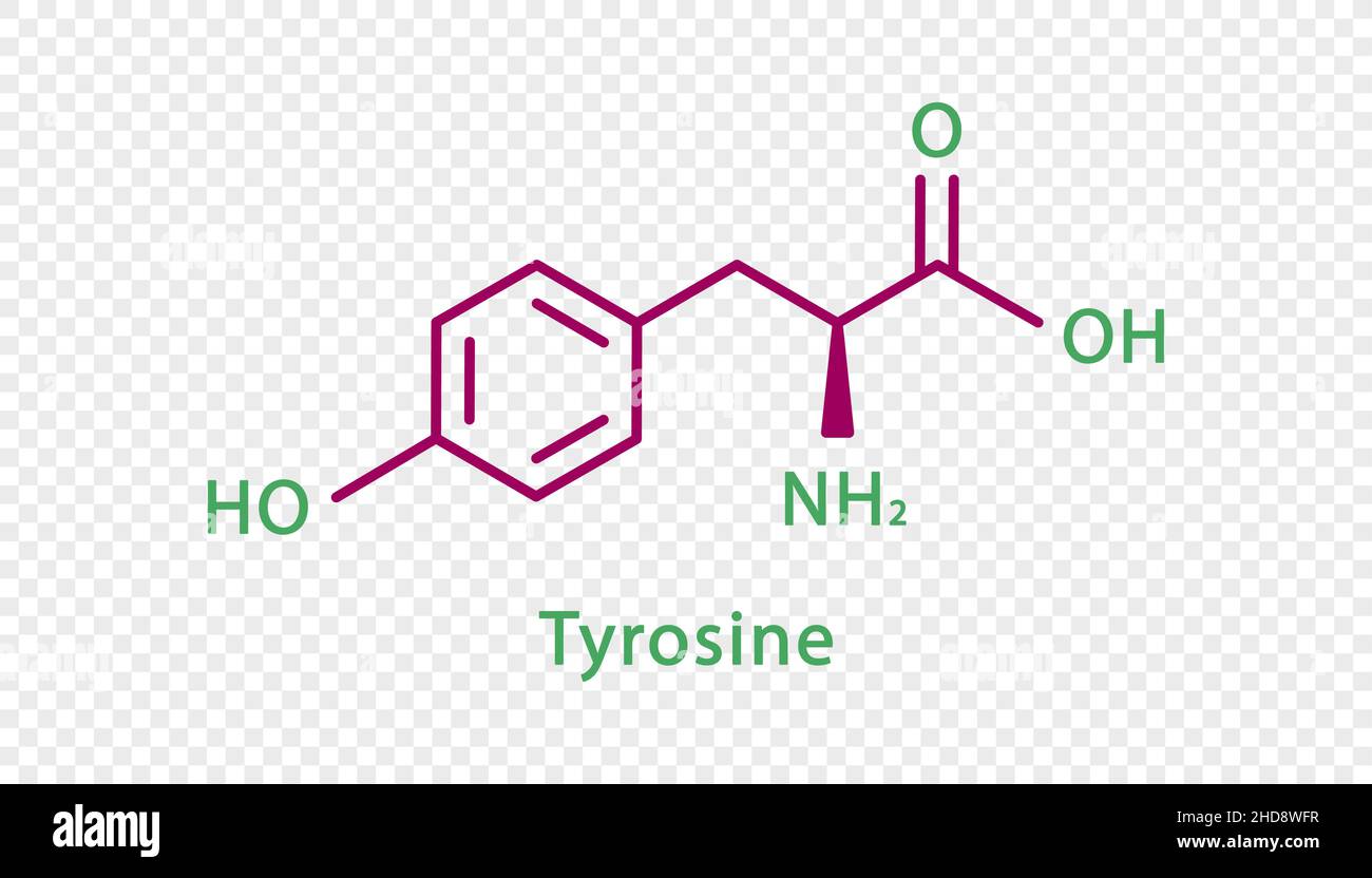 Formula chimica della tirosina. Tirosina formula chimica strutturale isolata su sfondo trasparente. Illustrazione Vettoriale