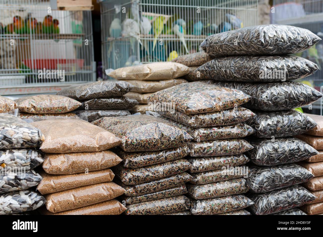 Mercato locale per uccelli e pappagalli Foto Stock