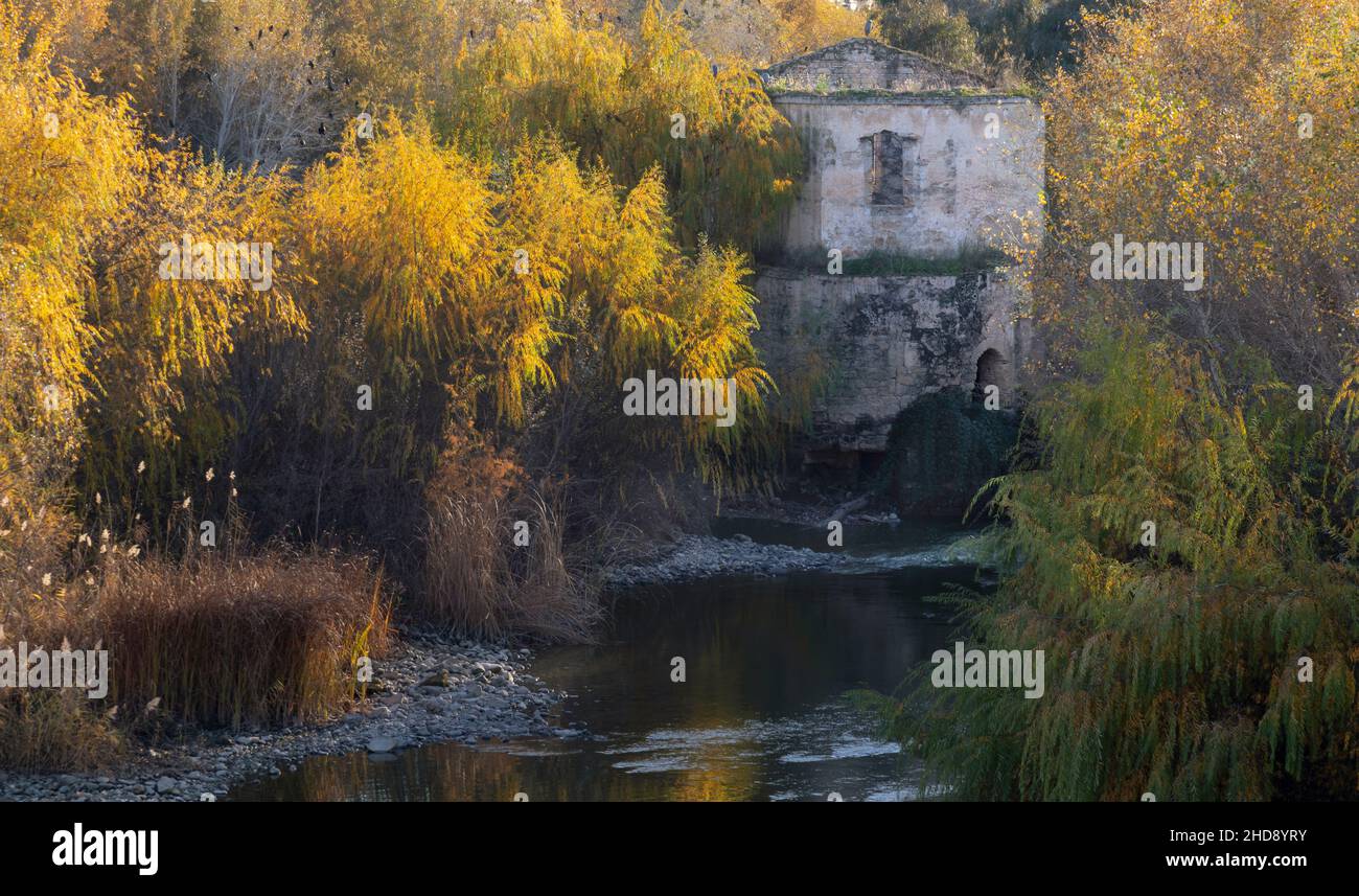 CORDOBA ANDALUCIA SPAGNA IN INVERNO VISTA DI VECCHIA CASA E ALBERI DAL PONTE ROMANO PUENTE ROMANO Foto Stock
