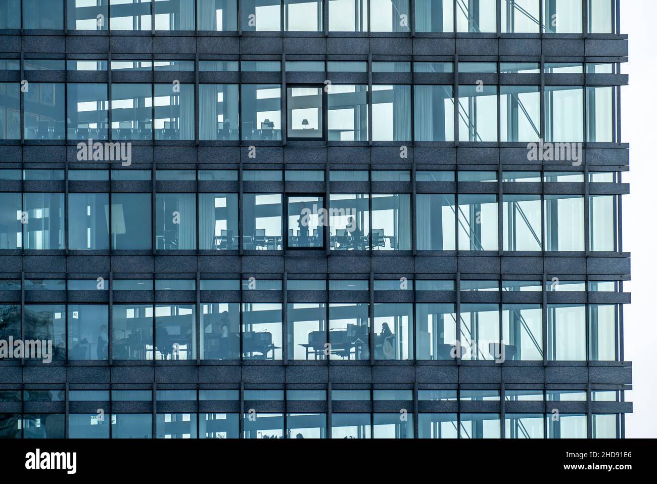 Ufficio torre, facciata in vetro, trasparente, Copenaghen, Danimarca, Foto Stock