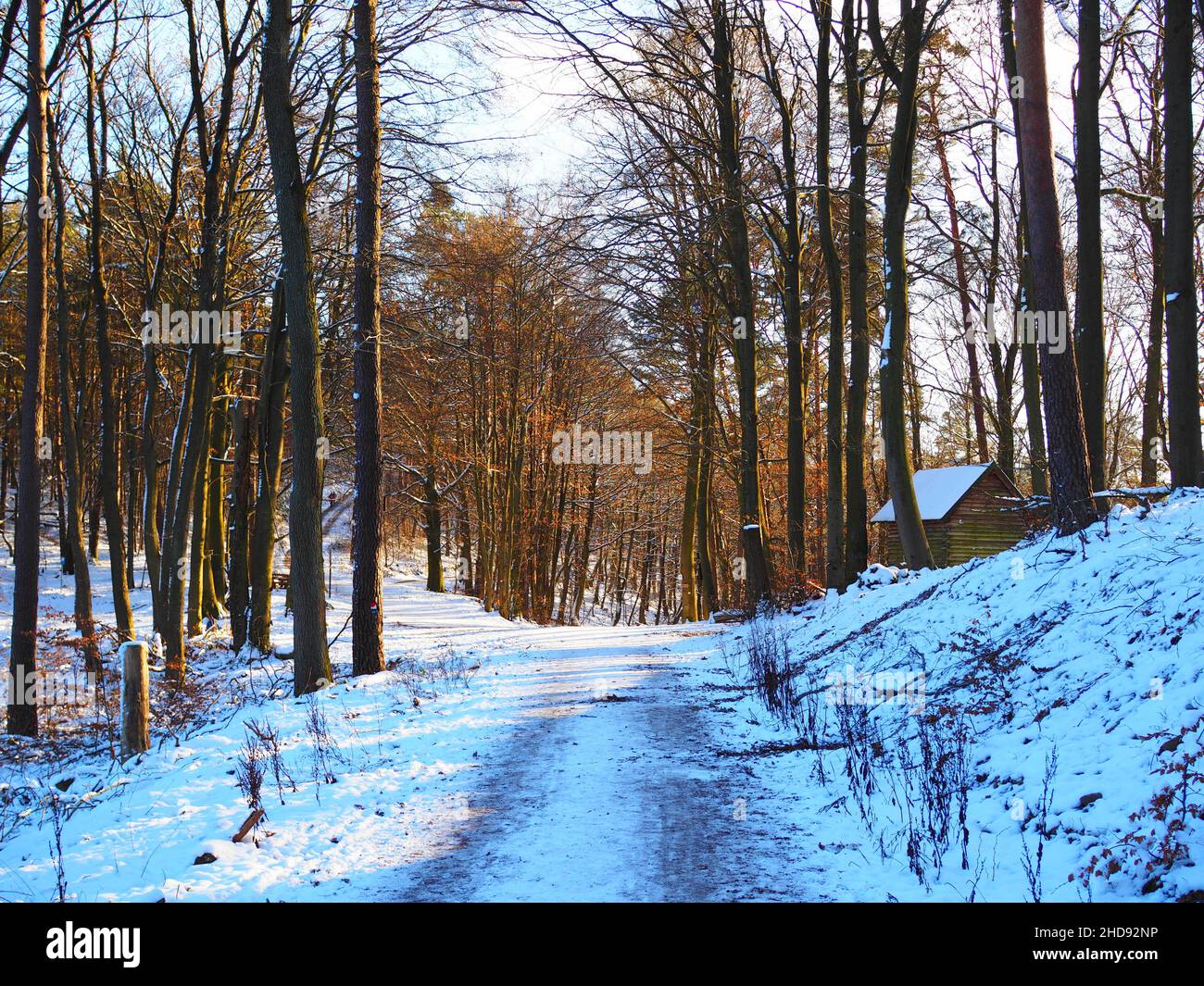 Winter Wonderland, Country Landscape Germania #sehnsuchtsrouten #aroundtheworld #winter #heimat #wanderlust #hinterland #Authentic #fernweh #slowtravel Foto Stock