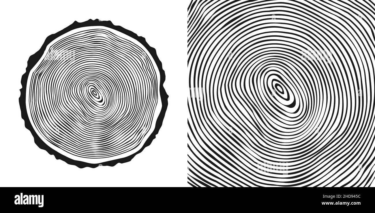 Tronco di albero rotondo tagliato, segato pino o fetta di quercia. Legname tagliato da poco, legno. Tessitura di legno con anelli di albero. Schizzo disegnato a mano. Illustrazione vettoriale Illustrazione Vettoriale