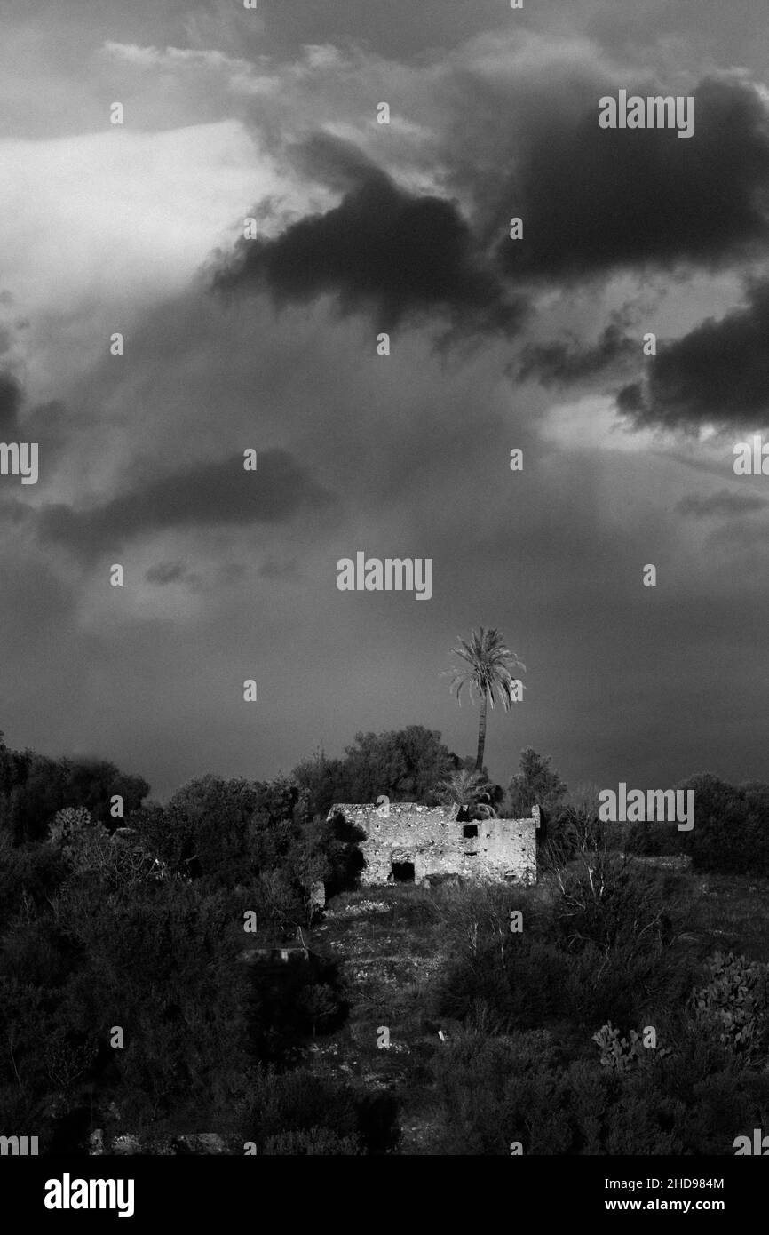 Casa abbandonata circondata da alberi in una giornata nuvolosa in Sicilia, Italia Foto Stock