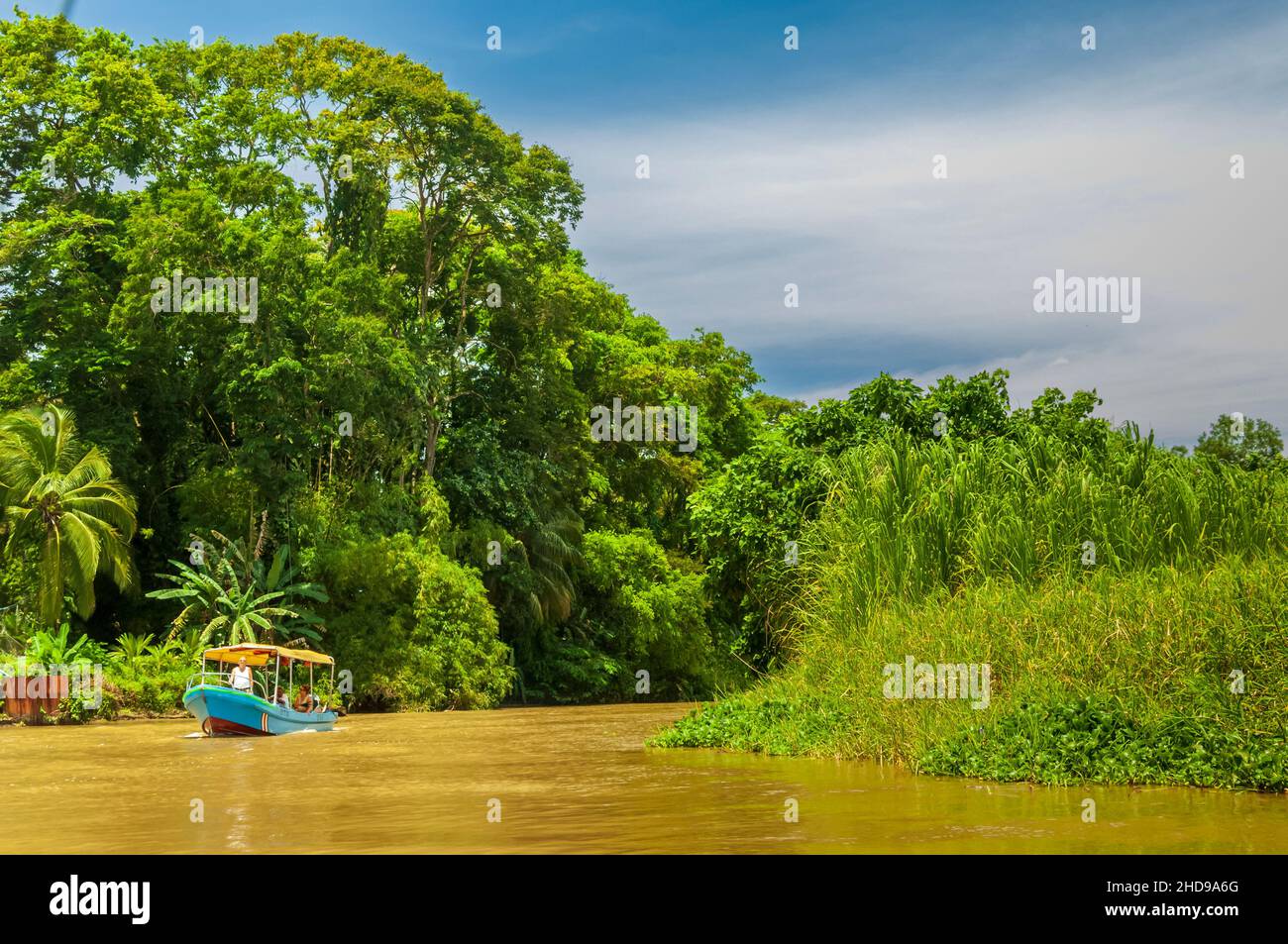 Un giro in barca nelle giungle del Costa Rica, America Centrale. Foto Stock