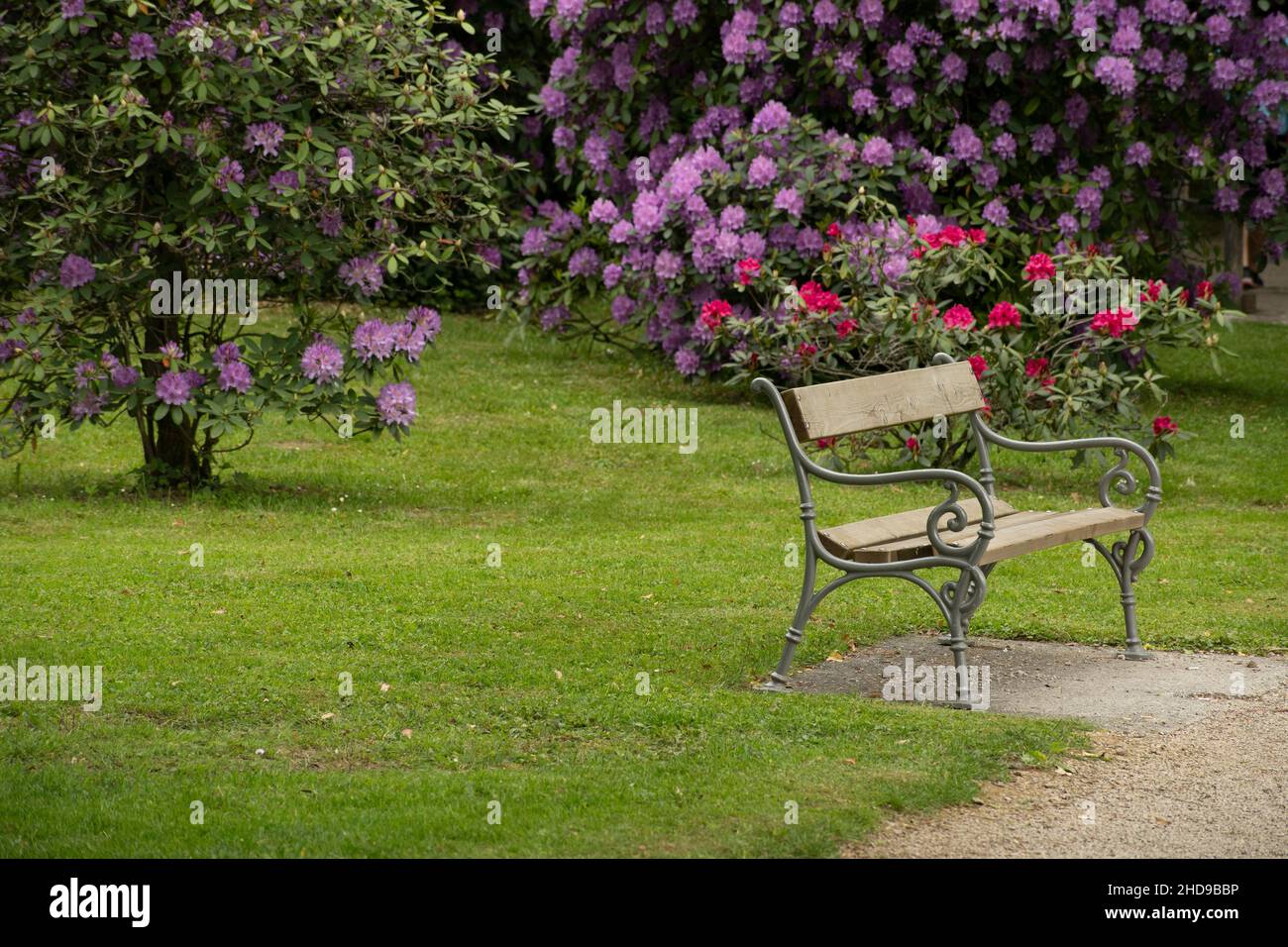 bellissimo parco con una panca vuota e un sacco di fiori Foto Stock bellissimo parco con una panca vuota e un sacco di fiori Foto Stock