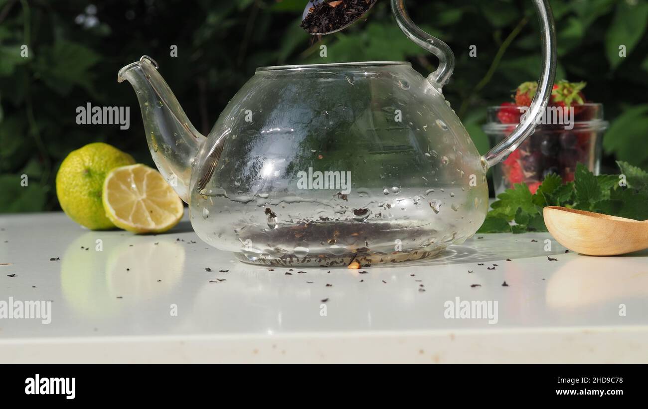 Versare il tè da una teiera in una tazza su uno sfondo sfocato della natura. Nelle vicinanze si trovano limone, citronella, bacche selvatiche. Versare l'acqua bollente in un bollitore Foto Stock