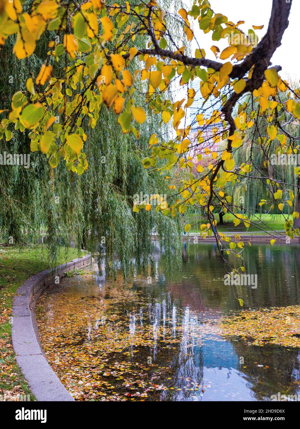 Boston Common, Boston, Massachusetts. Foto Stock