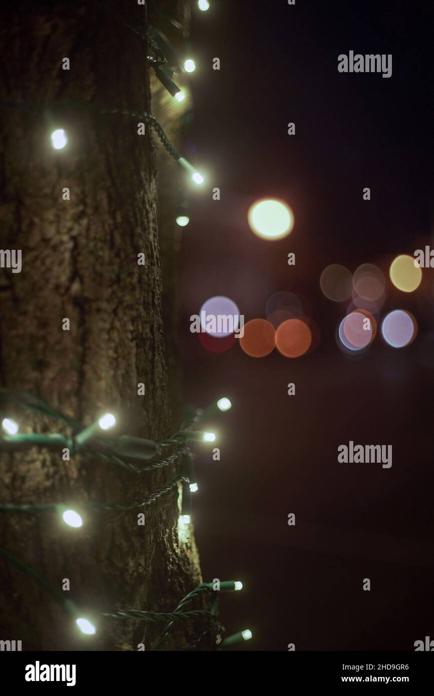 Scatto verticale di luci su un tronco di albero con luci bokeh sullo sfondo Foto Stock