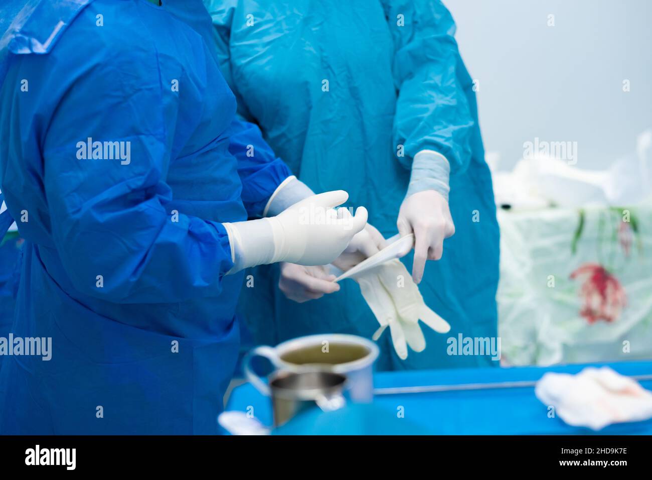 Le mani del chirurgo indossano guanti sterili prima dell'intervento chirurgico. Messa a fuoco selettiva. Un infermiere aiuta il chirurgo a indossare una uniforme chirurgica sterile. Foto Stock