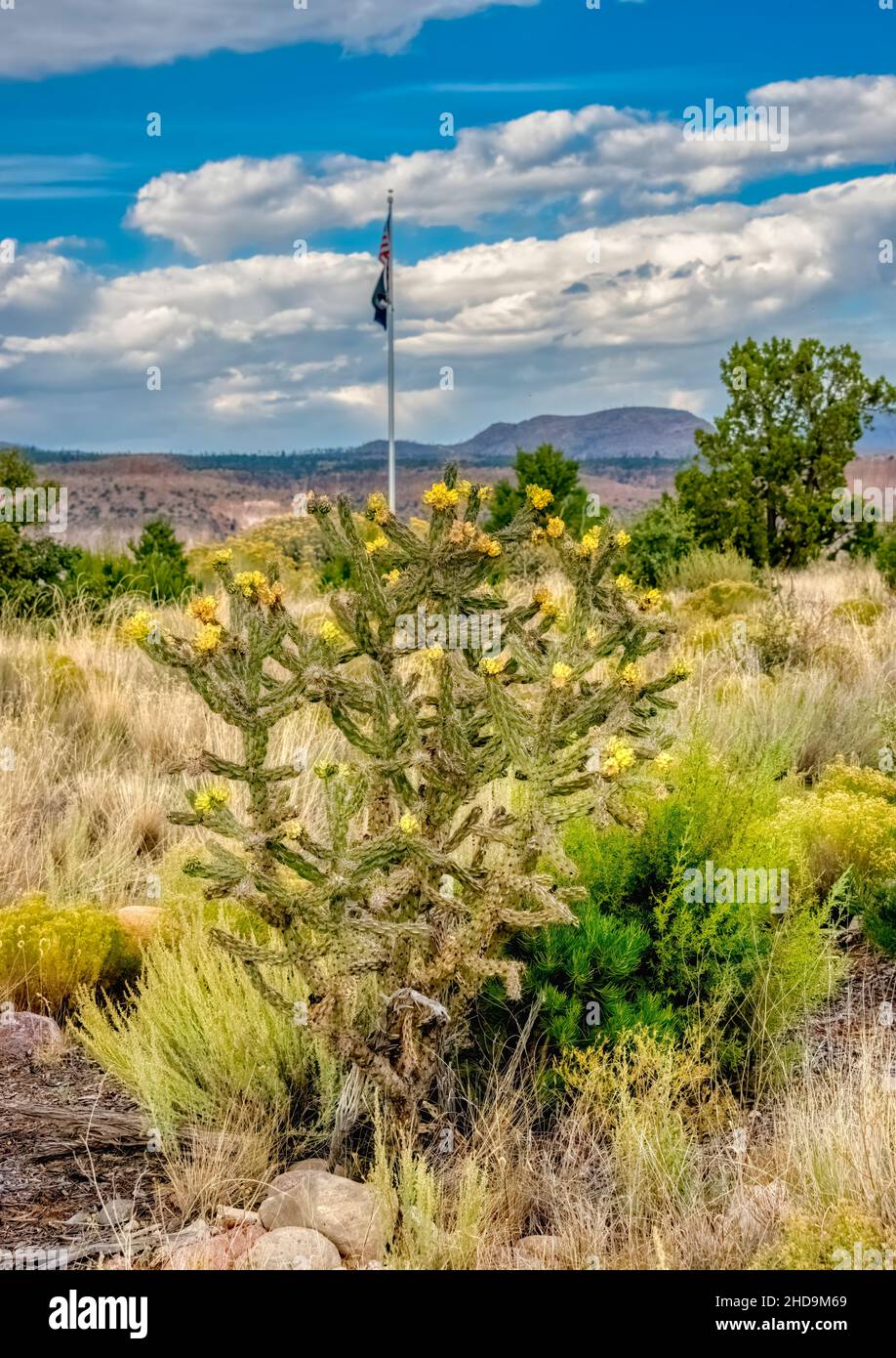 Bandiera americana in piedi Tall sopra la scena del deserto del sud-ovest Foto Stock
