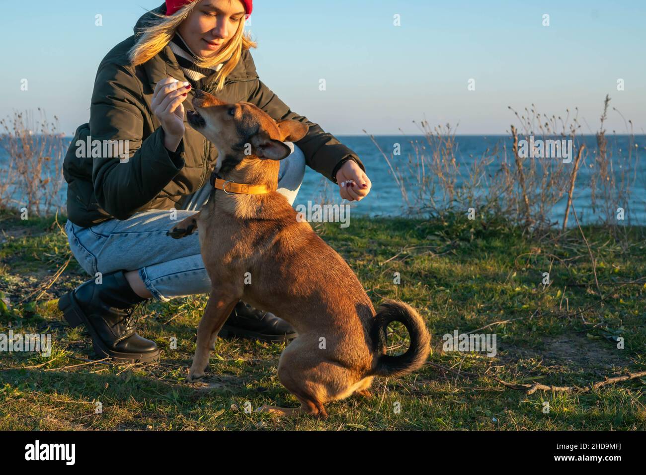 Una ragazza bionda con un cane purebred dal rifugio. Giocare con un cane sulla riva del mare. Amicizia di un cane e di una persona. Foto Stock