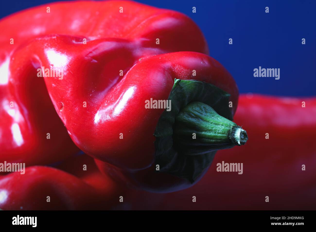 Primo piano della coda verde appuntita di un peperone rosso con fondo blu Foto Stock