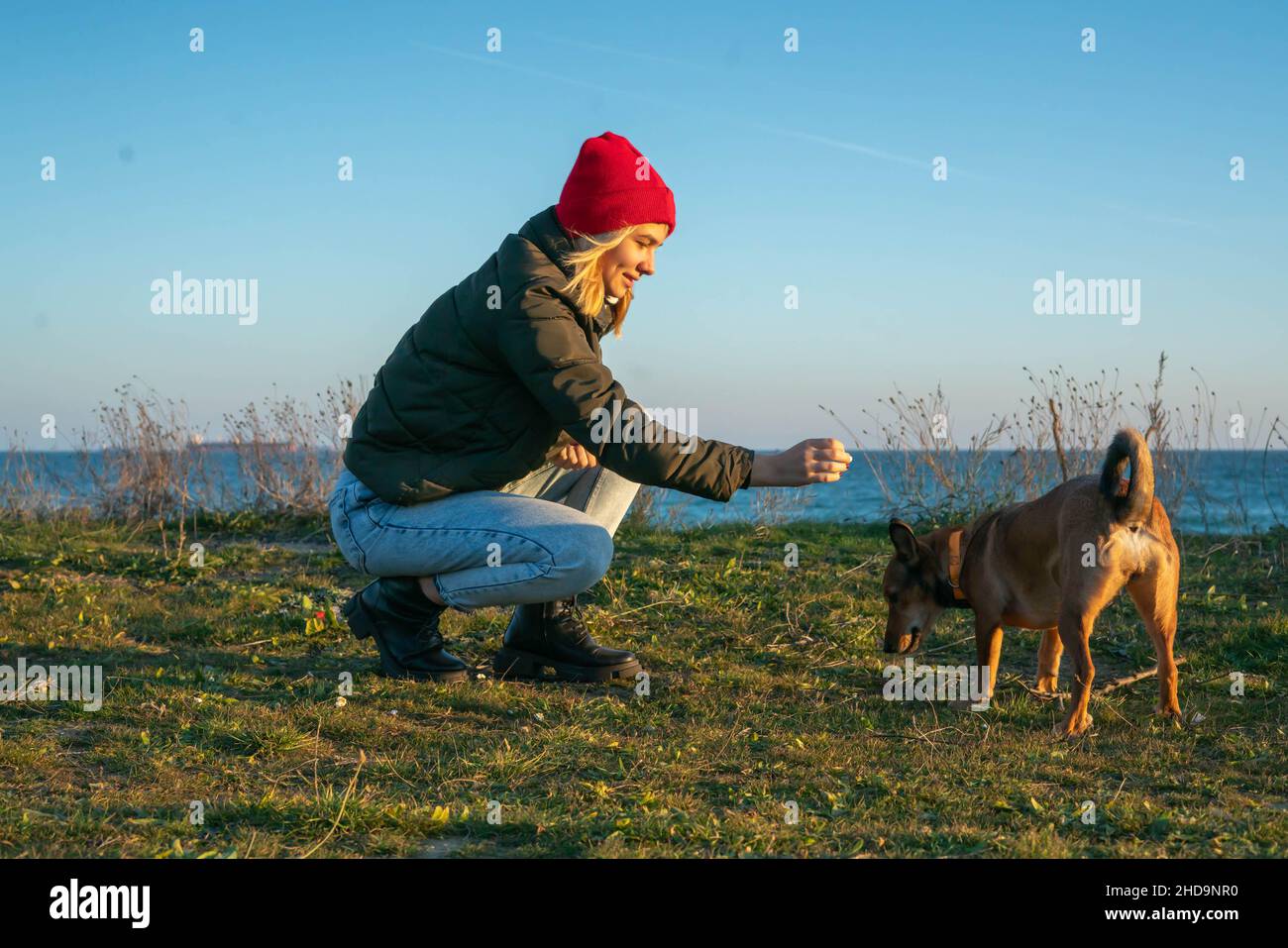 Una ragazza bionda con un cane purebred dal rifugio. Giocare con un cane sulla riva del mare. Amicizia di un cane e di una persona Foto Stock