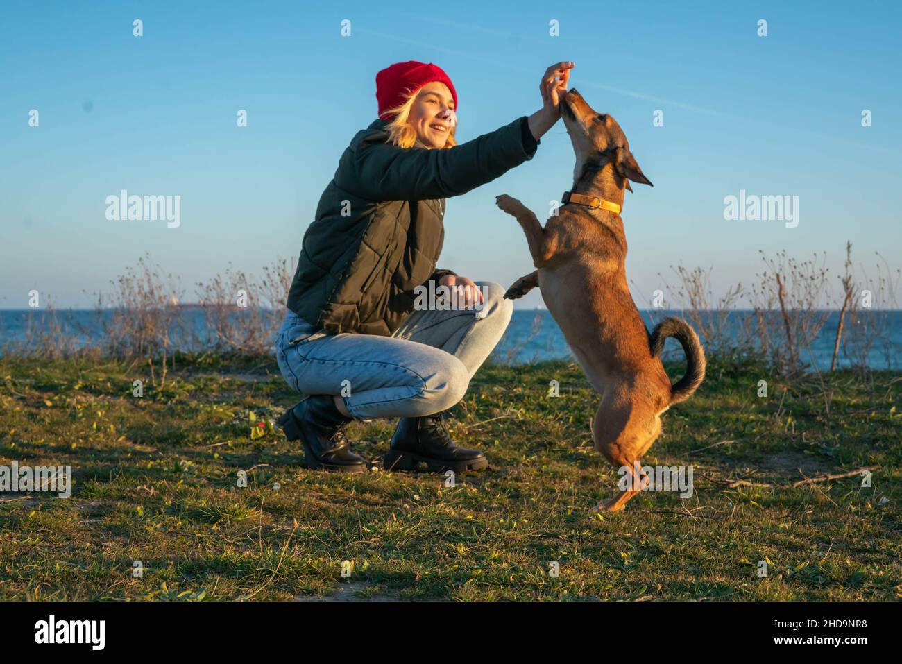 Una ragazza bionda con un cane purebred dal rifugio. Giocare con un cane sulla riva del mare. Amicizia di un cane e di una persona Foto Stock