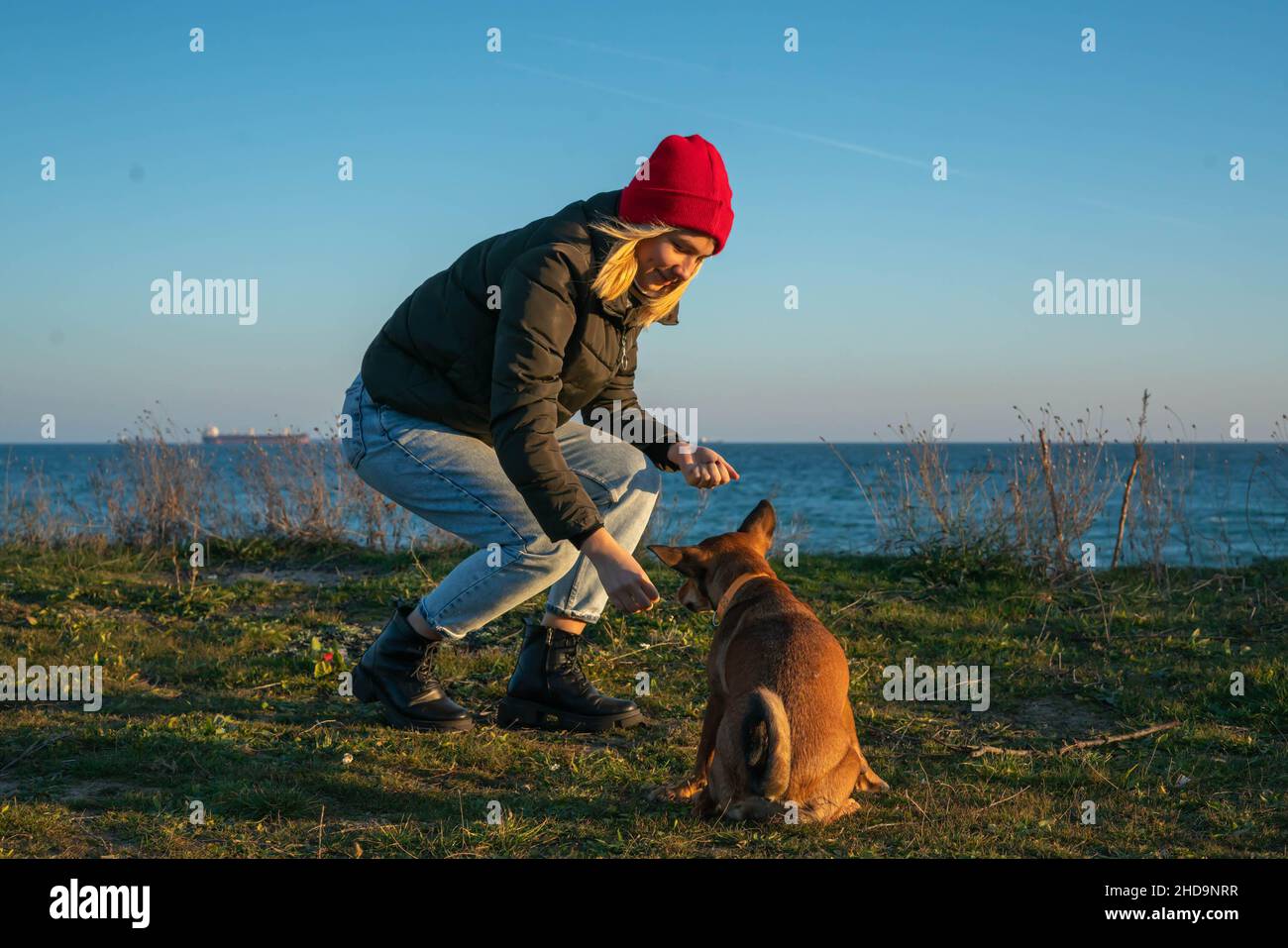 Una ragazza bionda con un cane purebred dal rifugio. Giocare con un cane sulla riva del mare. Amicizia di un cane e di una persona Foto Stock