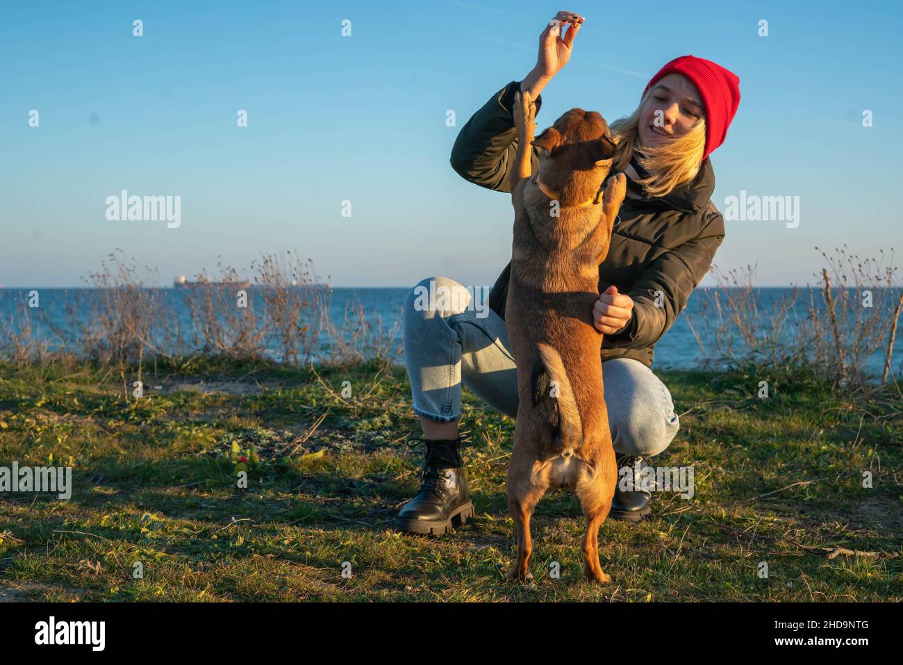 Una ragazza bionda con un cane purebred dal rifugio. Giocare con un cane sulla riva del mare. Amicizia di un cane e di una persona Foto Stock