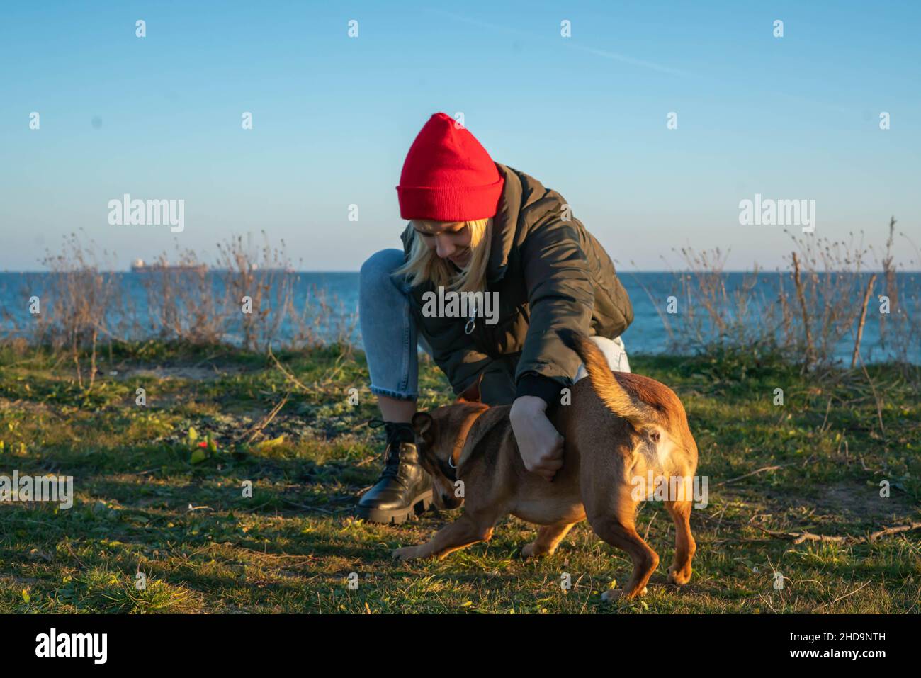 Una ragazza bionda con un cane purebred dal rifugio. Giocare con un cane sulla riva del mare. Amicizia di un cane e di una persona Foto Stock