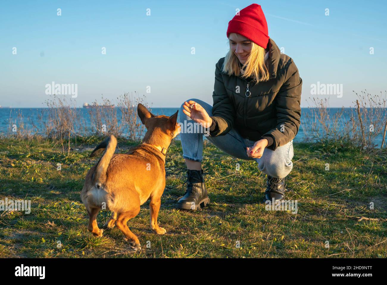 Una ragazza bionda con un cane purebred dal rifugio. Giocare con un cane sulla riva del mare. Amicizia di un cane e di una persona Foto Stock