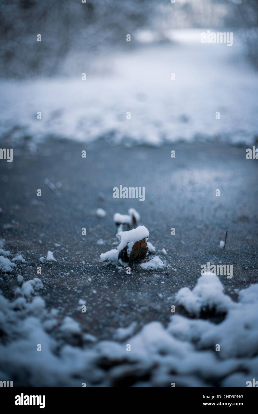 Colpo verticale del terreno congelato in inverno Foto Stock