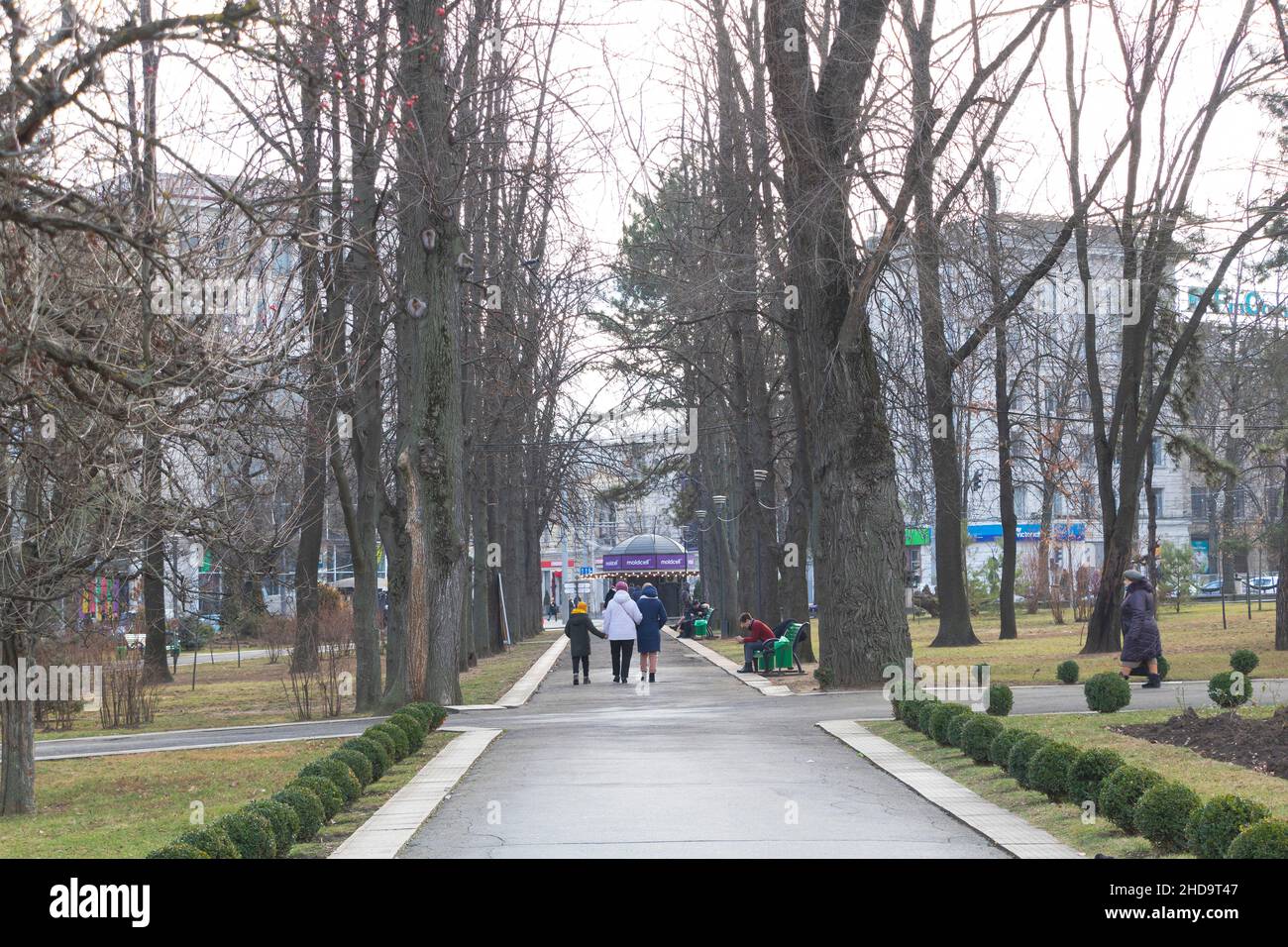 Chisinau, Moldavia - 25 dicembre 2021. Un bellissimo parco con alberi alti scena in inverno Foto Stock