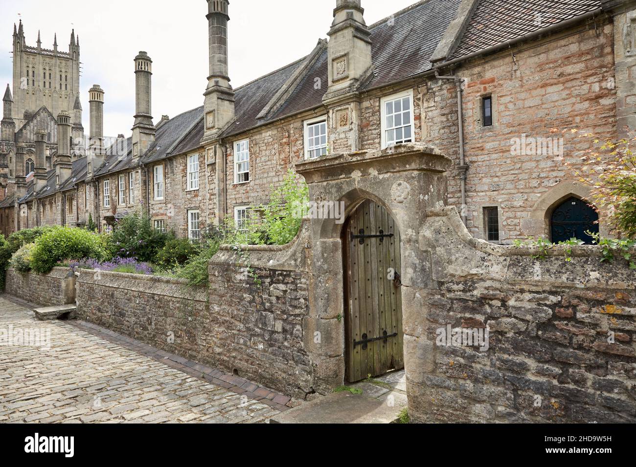Wells Cattedrale Vescovi Palazzo e Vicari chiudere Foto Stock