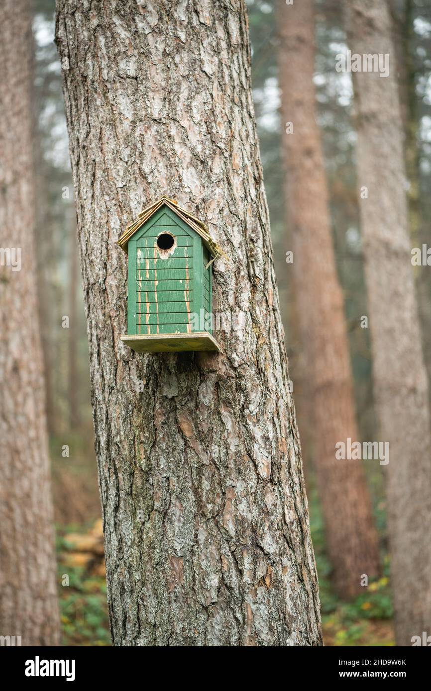 Una casa di uccelli in un albero Foto Stock