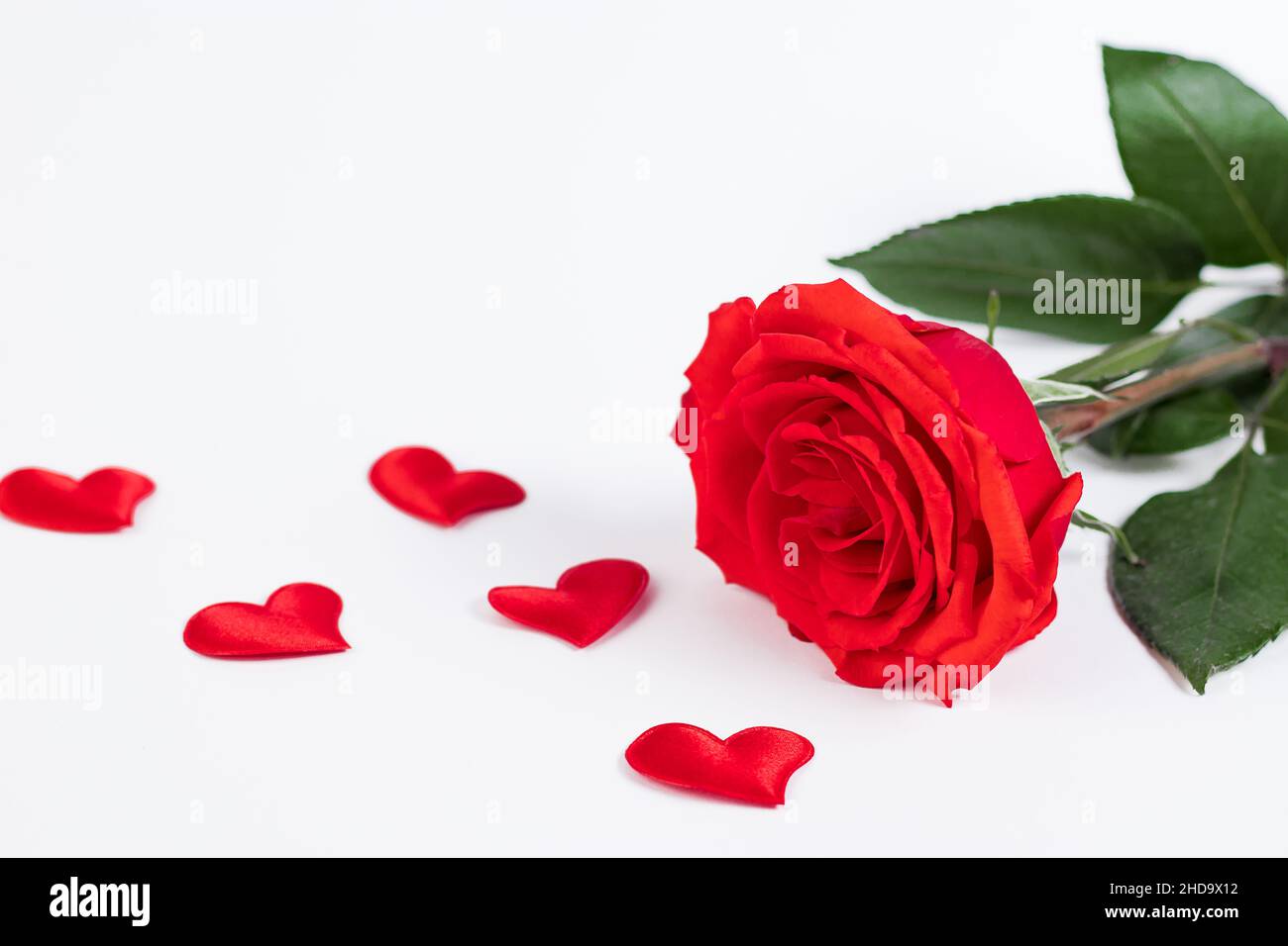 Rosa rossa e cuori su sfondo bianco. Biglietto di auguri per San Valentino.  Inserire il testo Foto stock - Alamy