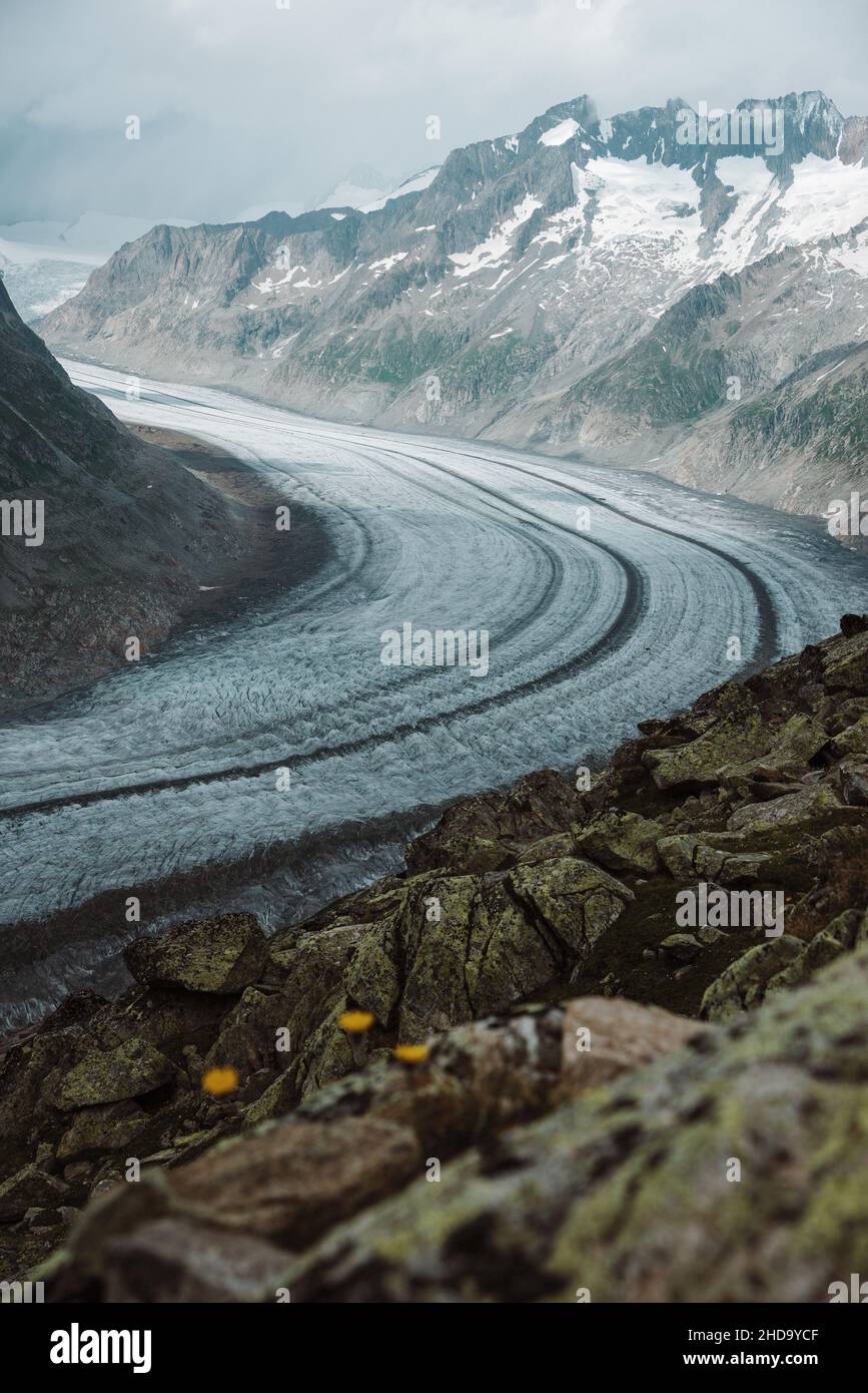 Ghiacciaio di Aletsch vicino a Eiger, Moench e Jungfrau - ghiacciaio nelle Alpi svizzere Foto Stock